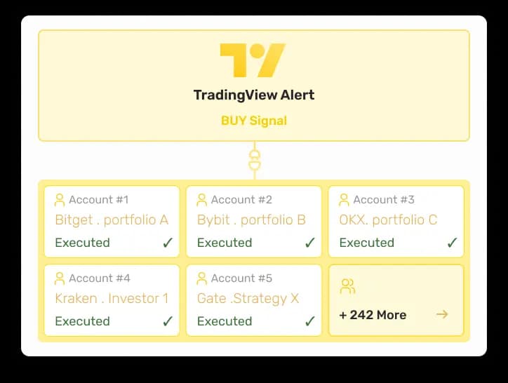 Multi-Account Execution image