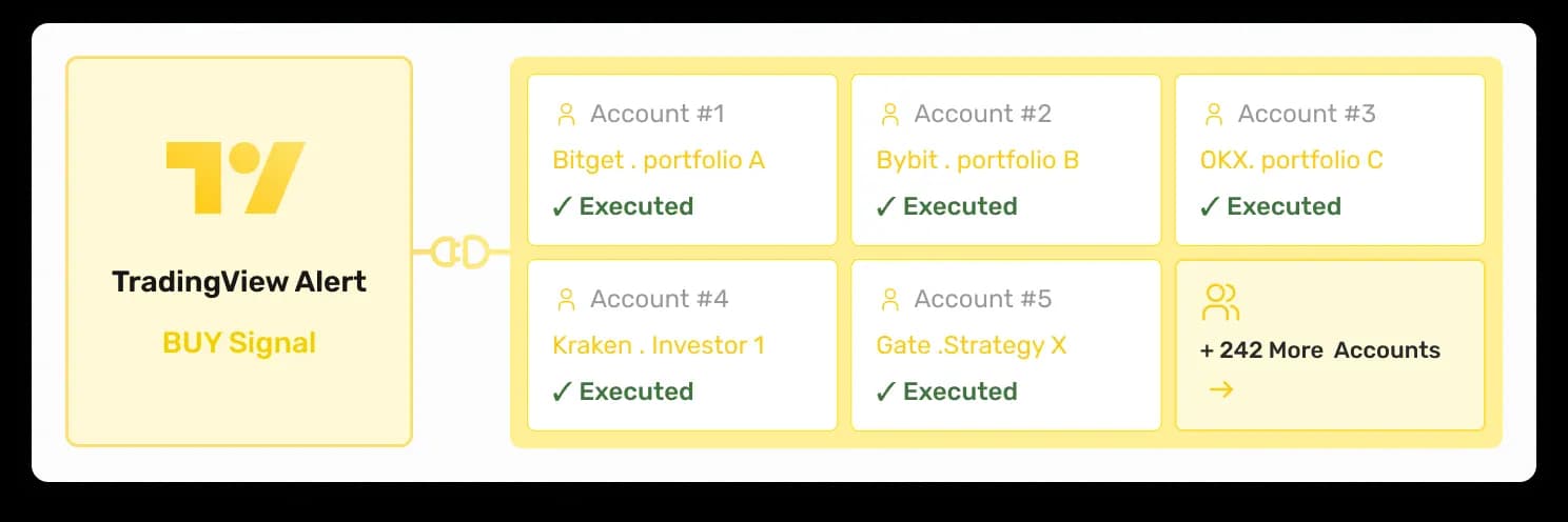 Multi-Account Execution image
