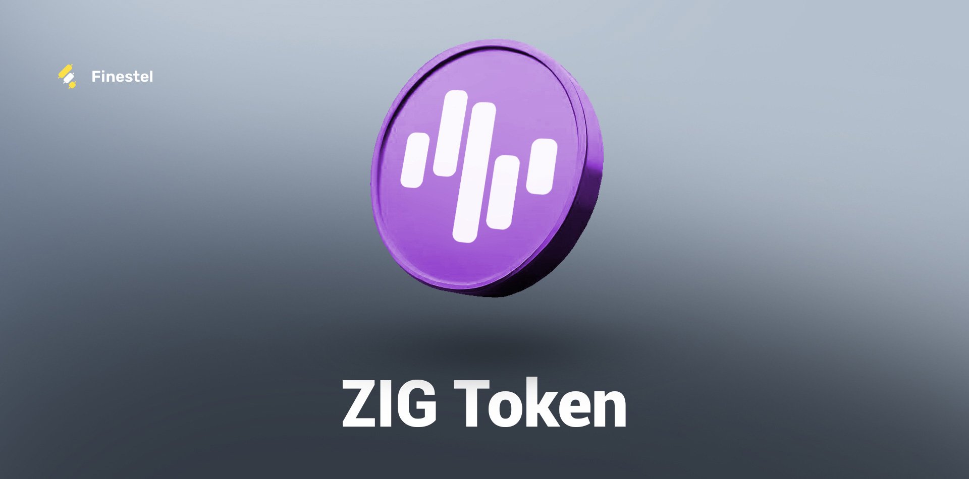 What is ZIG Token and Should You Invest in It?