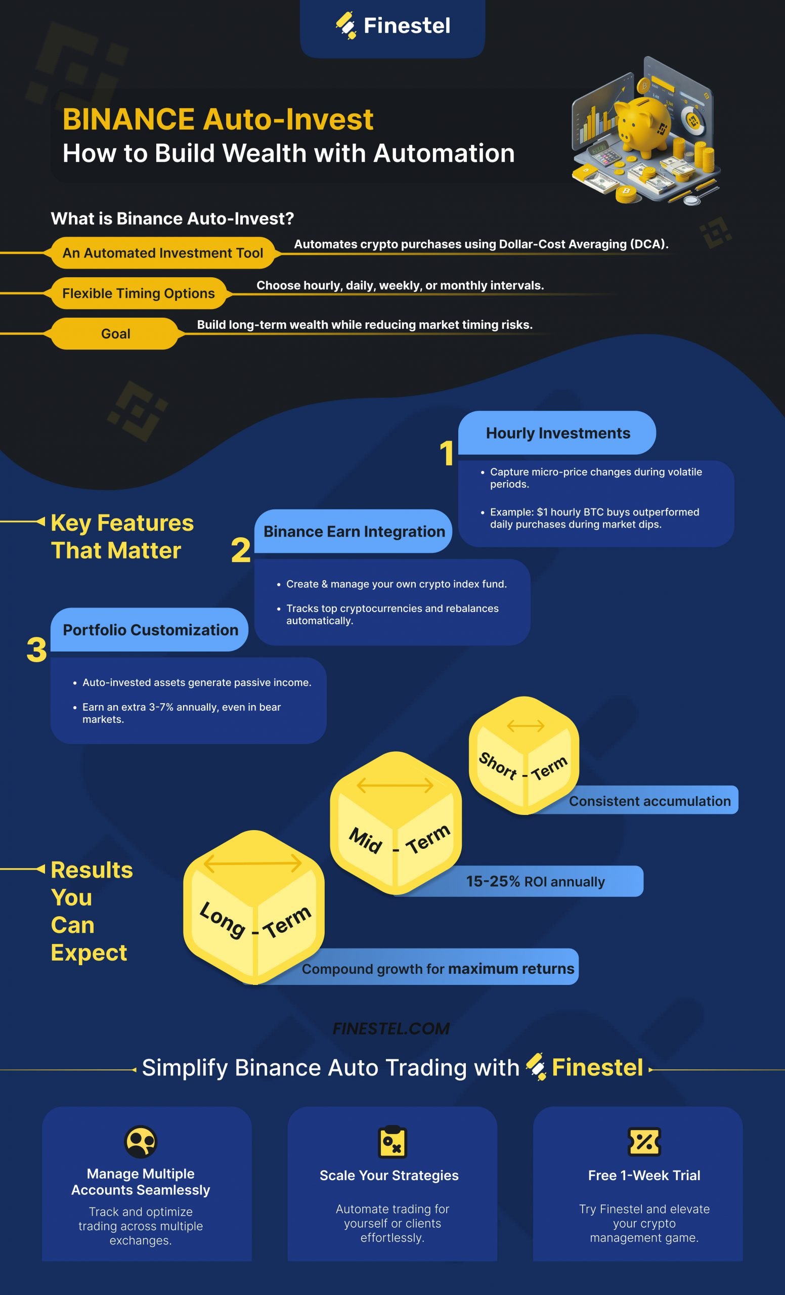 Binance Auto Invest Guide Infographic