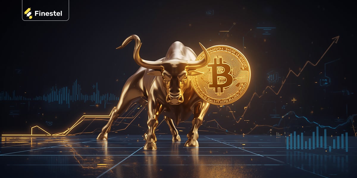 What Indicators Do Professionals Use to Stay Ahead in the Bull Run?