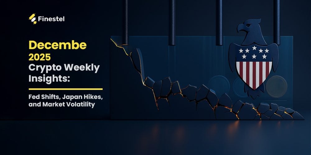 2025's December crypto market report