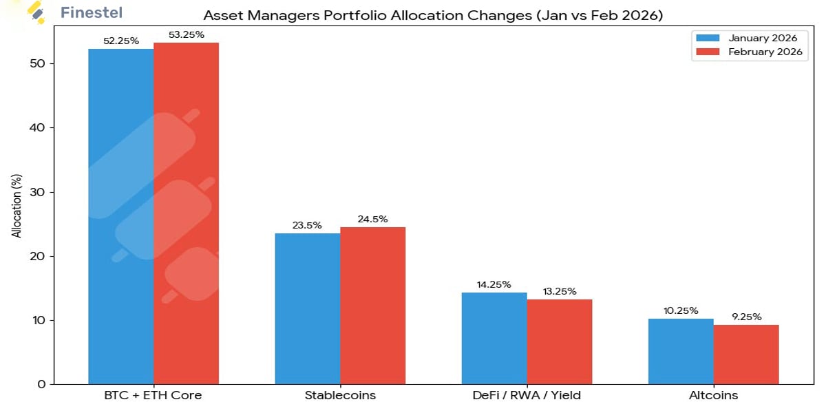 What Finestel Asset Managers Actually Did