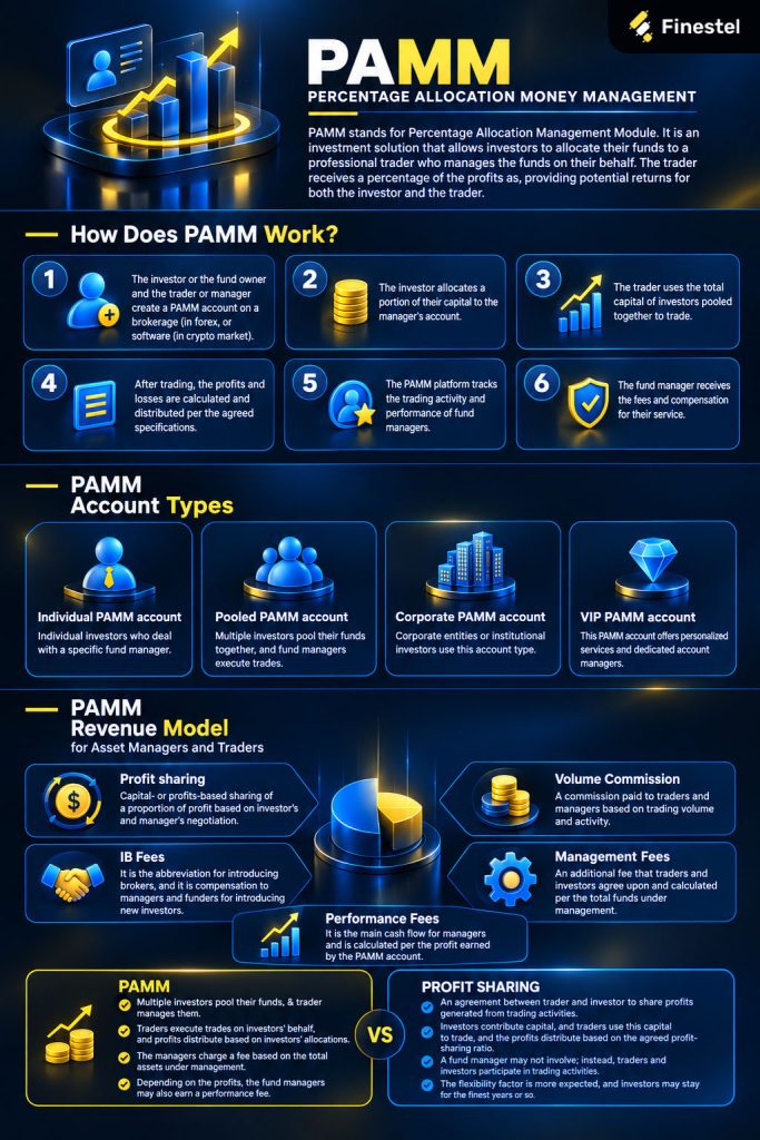 PAMM Infographic